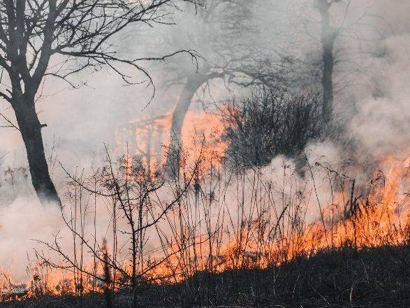 Water bombers, firefighters battle wildfire in Kawartha Lakes