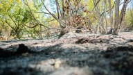 Controlado un incendio forestal en el límite entre Méntrida y Aldea del Fresno