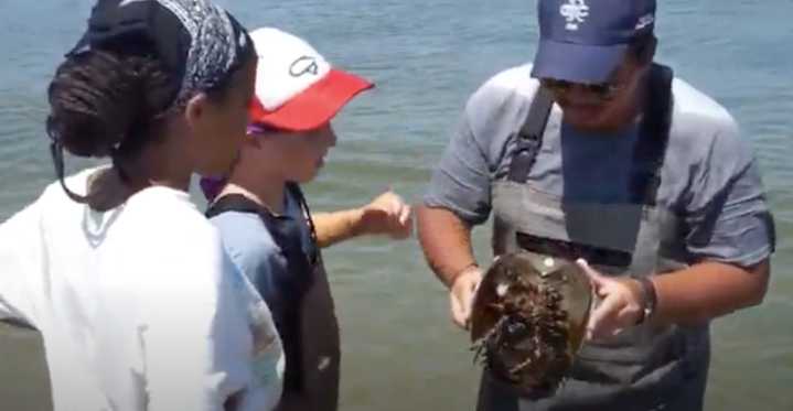 A Brooklyn Coastal Summer Camp Inspires Students of All Ages