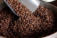 Fedeagro: Exportaciones de café superan el 10% de producción nacional con 110 mil quintales
