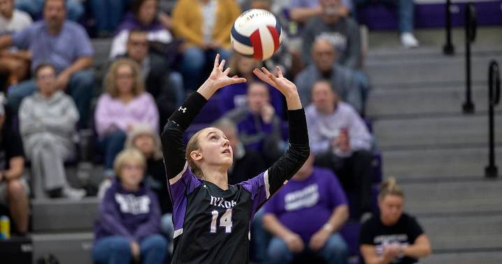2025 Sauk Valley volleyball preview capsules