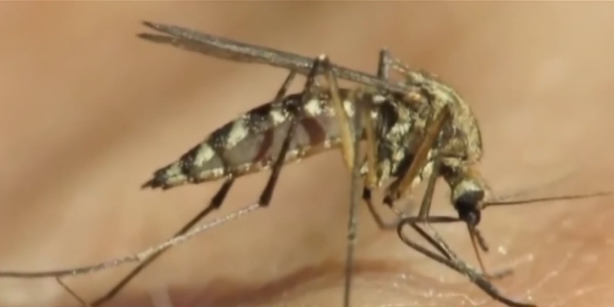 Kent County reports first death from West Nile Virus in 2025
