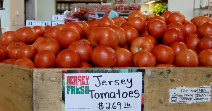 New Jersey tomatoes have been hard to find this season; Here's why.