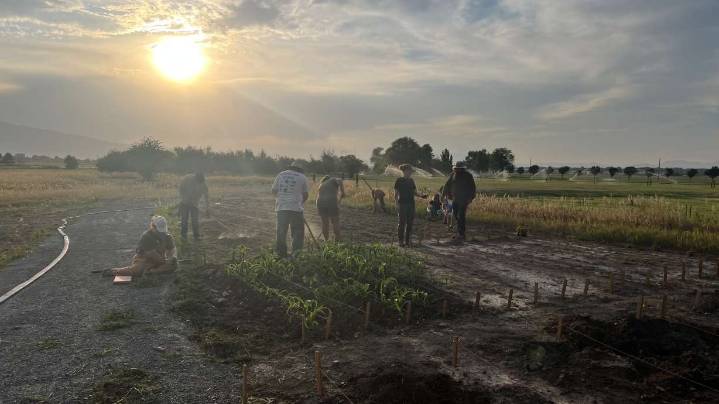 Utah State University students create Indigenous garden with professor with Shoshone roots