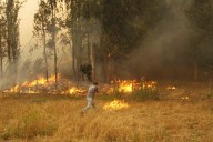 Nueva ministra de Agricultura ratifica urgencia de pronta tramitación de ley de prevención de incendios forestales