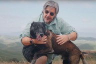 Hero Dog from 'Real-Life Bullfight' After Agitated Bull Escapes and Threatens Pet's Family