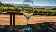 Salta se prepara para “Degustar”, la feria de vinos más importante del norte