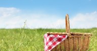 Grand River Friendship Society hosting community picnic