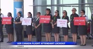 Air Canada suspends flights amid flight attendant strike