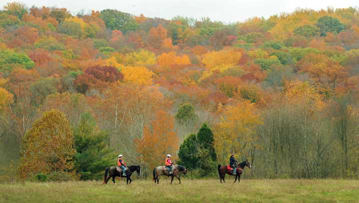 Timber sales in Hoosier National Forest reignite water quality concerns