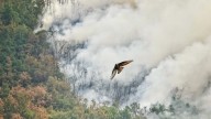 La meteorología da una tregua con los incendios: Jarilla queda libre de llamas y Galicia y Castilla y León evolucionan favorablemente