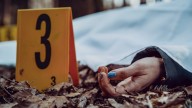 ¿Cuántos homicidios se registraron en agosto del 2025 en México?