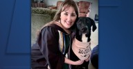 9 AM: State senator announces escape lanes law legislation after woman killed in drive