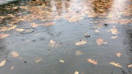 Atmospheric river will bring unusual August rainfall to the Willamette Valley