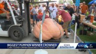 Peosta, Iowa couple claims title in Iowa State Fair's Biggest Pumpkin Contest