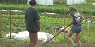 Balint meets with Vermont Youth Conservation Corps leaders amid funding cuts