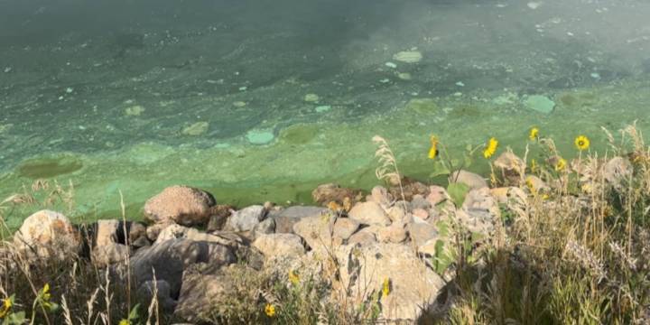 Health alert issued for two southeast Nebraska lakes