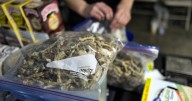 A Big Bear church was headquarters of an illegal psychedelic mushroom business, authorities say