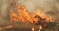 Última hora: León encara una jornada marcada por nuevos incendios y desalojos pese a los avances en la extinción