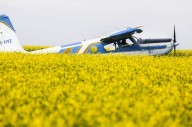 Chinese tariff on canola seed comes into force as farmers hope for resolution