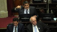El Senado sancionó el proyecto que declara la emergencia en pediatría