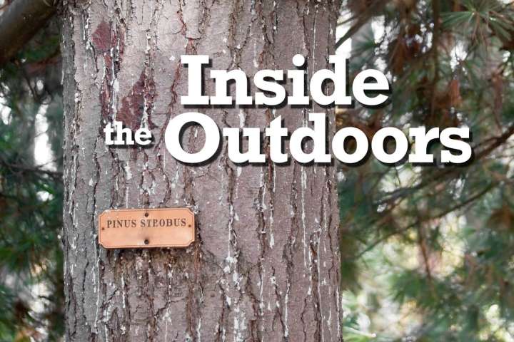 Inside the Outdoors: Thank Caesar, and Latin, for August