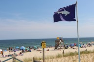 Mass. beach closed due to shark sighting Friday
