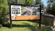 Zoo exhibit to bring in Highland cattle, Flemish rabbits, mini donkeys