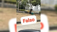 Desmentido: Alarma en Cali por un hombre atado a un árbol; Policía aclaró que todo fue un montaje