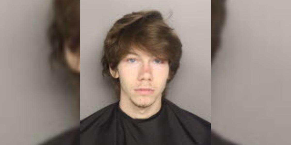 Greenville man pleads guilty to 2024 kidnapping, burglary charges