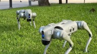 Estudiantes de Tamaulipas crean versión de “Ojitos mentirosos” utilizando perros robot [Video]