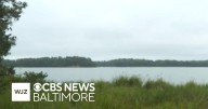 Research shows otter poop can provide useful information about the ecosystem
