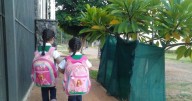 Regreso a clases 2025: Cómo elegir la mochila ideal y cuidar la espalda de tus hijos