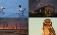 Las fotos de la semana en el Instagram de La Nueva.