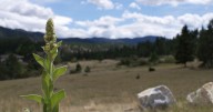 Lewis and Clark County Sheriff shares challenges of backcountry investigations
