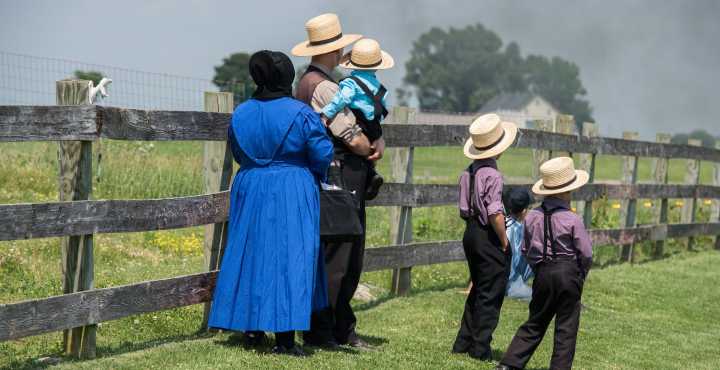 6 Die After a Truck Struck a Van Carrying 10 Amish Members