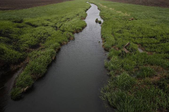 Experts commend new Iowa water quality initiative, but say buffer strips alone won’t fix problems