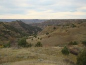 USDA proposal to repeal Roadless Rule on national forest lands draws contrasting views
