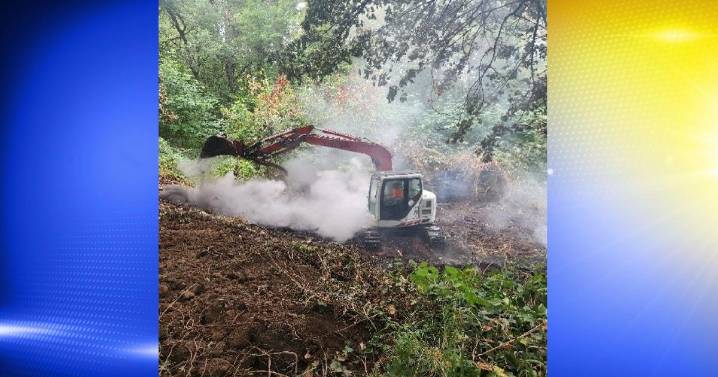 Simpson Park in Albany sees repeated fires; safety concerns rise