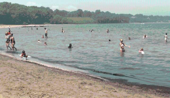 E. coli leads to poor water quality at 4 Lake Erie beaches on Friday