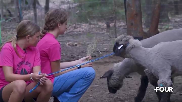 Sisters raise lambs for first time with support of 4