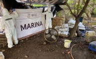 Fuerzas federales reportan golpe al narco por 7.8 mdp este fin de semana