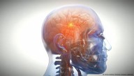 Hormona natural muestra efecto protector contra el parkinson