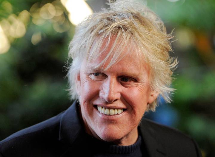 Gary Busey pleads guilty to sex offense at N.J. convention