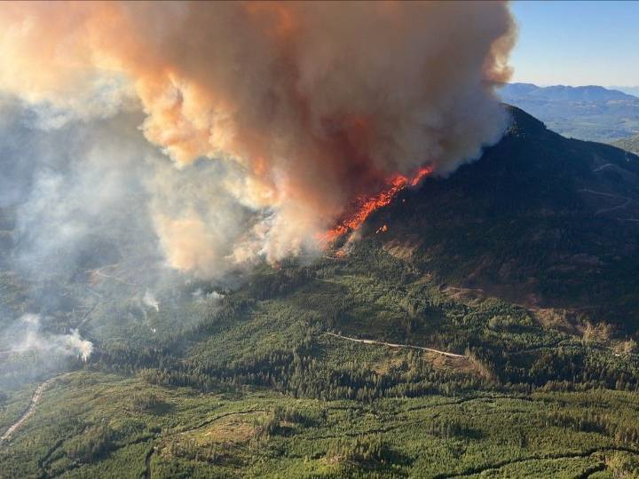 Rain helps calm wildfire near Port Alberni, with more wet weather on the way