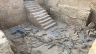 Un estudio genómico reconstruye 26.800 años de historia de los caballos en la península ibérica