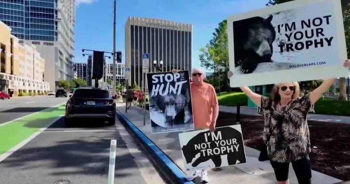 Florida approves first bear hunt in 10 years as population grows and human encounters increase