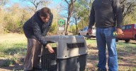 Conservar la biodiversidad es una política de Estado en Jujuy