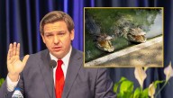 Ron DeSantis Says Teachers Who Ask Kids To Wear Masks Will Be Thrown Into The Gator Pond