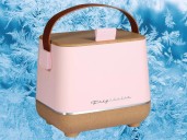 Target slashed the price on this adorably portable Frigidaire mini fridge/cooler